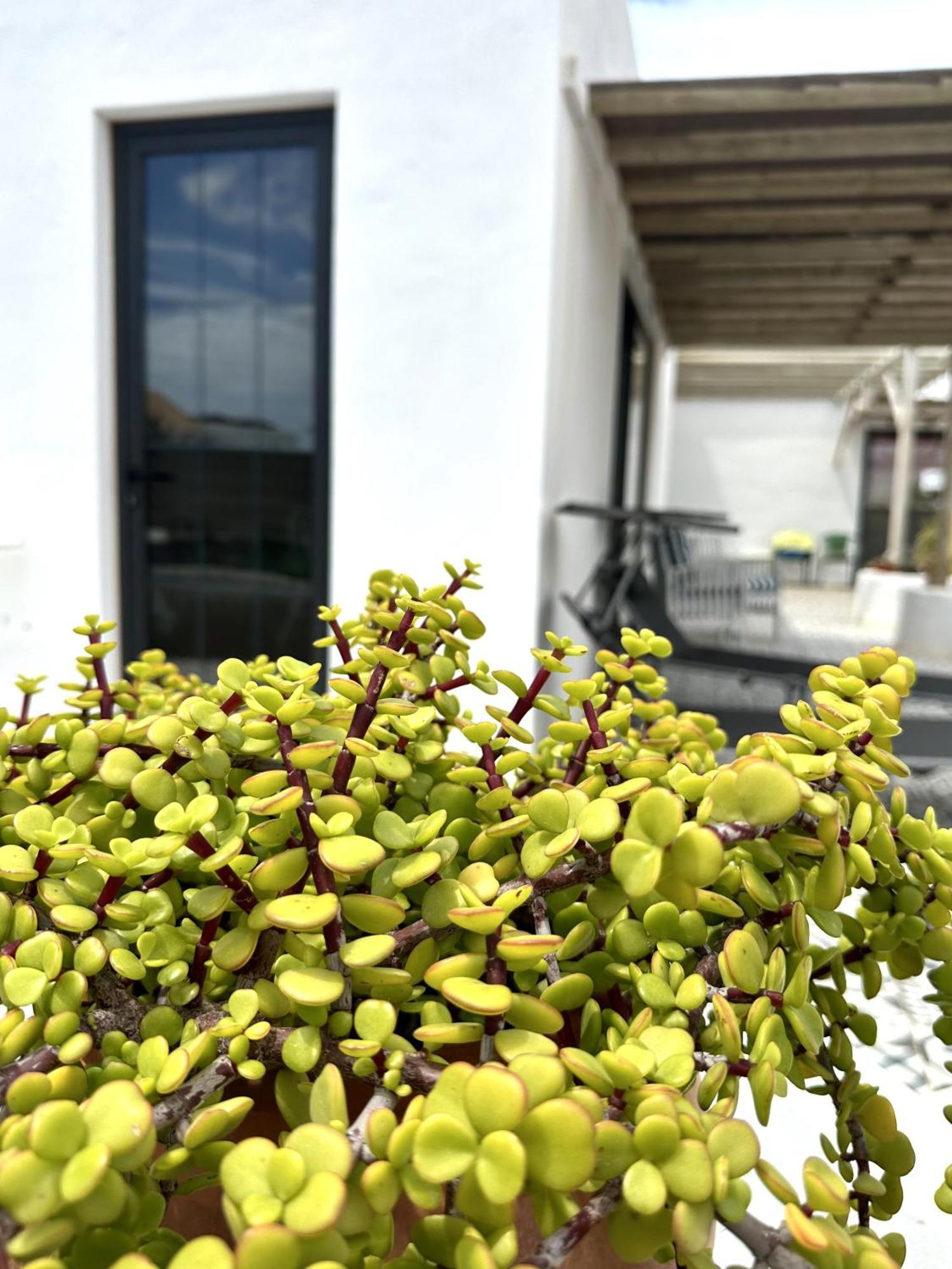 Casita Tiare Lajares Apartment Exterior photo